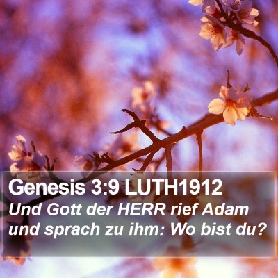 Genesis 3:9 LUTH1912 Bible Verse Image