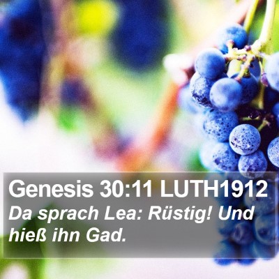 Genesis 30:11 LUTH1912 Bible Verse Image