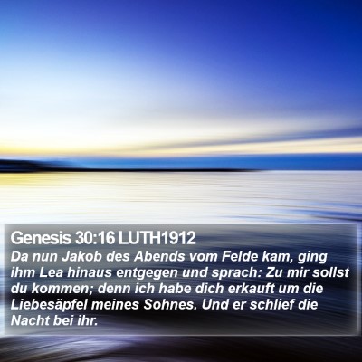 Genesis 30:16 LUTH1912 Bible Verse Image