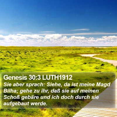 Genesis 30:3 LUTH1912 Bible Verse Image