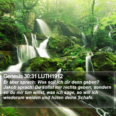 Genesis 30:31 LUTH1912 Bible Verse Image