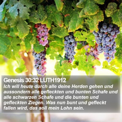 Genesis 30:32 LUTH1912 Bible Verse Image