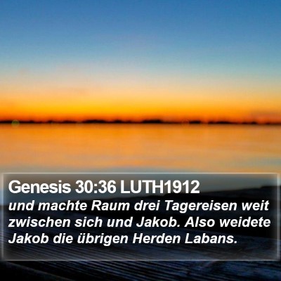 Genesis 30:36 LUTH1912 Bible Verse Image