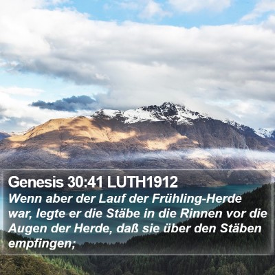 Genesis 30:41 LUTH1912 Bible Verse Image