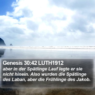 Genesis 30:42 LUTH1912 Bible Verse Image