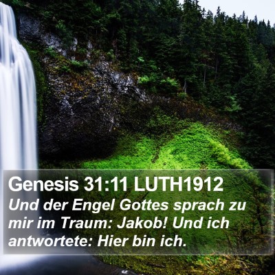 Genesis 31:11 LUTH1912 Bible Verse Image