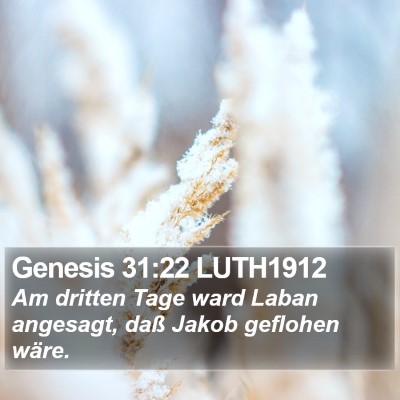 Genesis 31:22 LUTH1912 Bible Verse Image