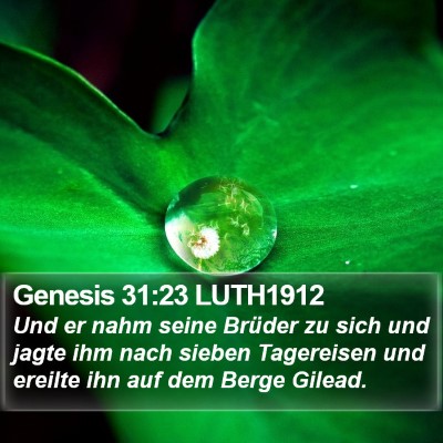 Genesis 31:23 LUTH1912 Bible Verse Image