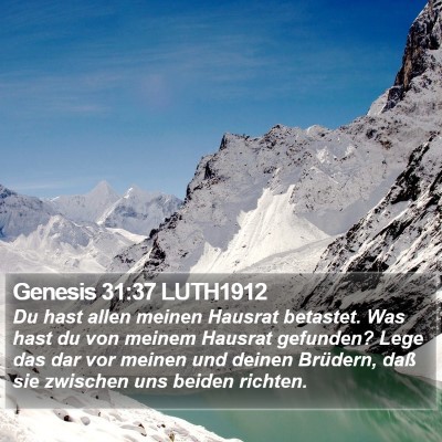 Genesis 31:37 LUTH1912 Bible Verse Image