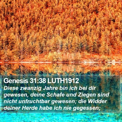 Genesis 31:38 LUTH1912 Bible Verse Image