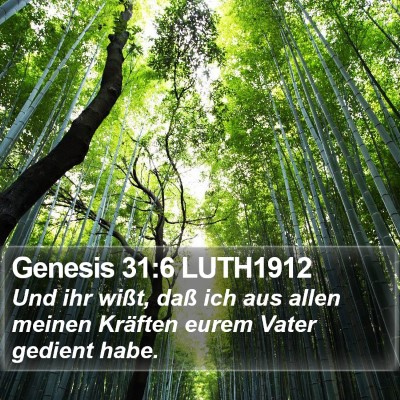 Genesis 31:6 LUTH1912 Bible Verse Image