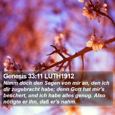 Genesis 33:11 LUTH1912 Bible Verse Image