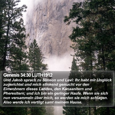 Genesis 34:30 LUTH1912 Bible Verse Image