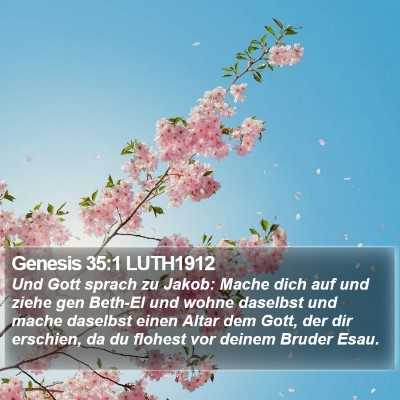 Genesis 35:1 LUTH1912 Bible Verse Image