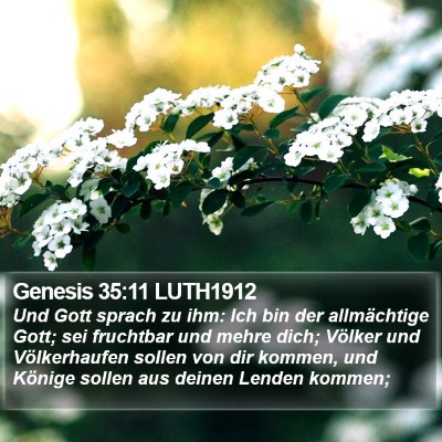 Genesis 35:11 LUTH1912 Bible Verse Image