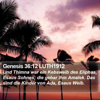 Genesis 36:12 LUTH1912 Bible Verse Image