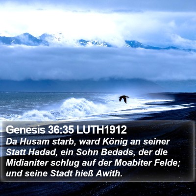 Genesis 36:35 LUTH1912 Bible Verse Image