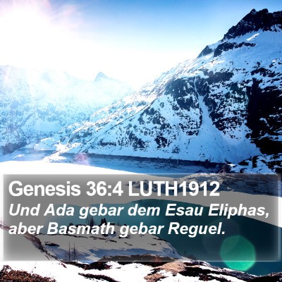 Genesis 36:4 LUTH1912 Bible Verse Image