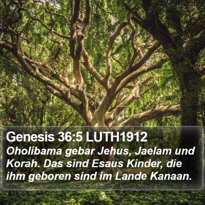 Genesis 36:5 LUTH1912 Bible Verse Image