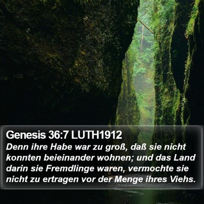 Genesis 36:7 LUTH1912 Bible Verse Image