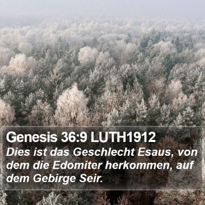 Genesis 36:9 LUTH1912 Bible Verse Image