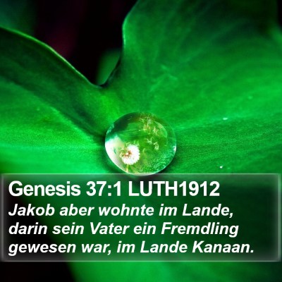 Genesis 37:1 LUTH1912 Bible Verse Image