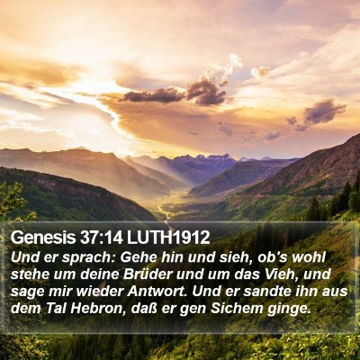Genesis 37:14 LUTH1912 Bible Verse Image