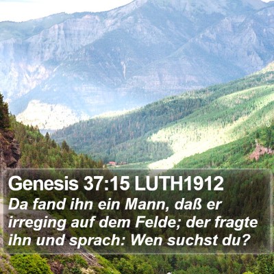 Genesis 37:15 LUTH1912 Bible Verse Image