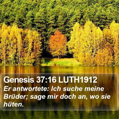 Genesis 37:16 LUTH1912 Bible Verse Image