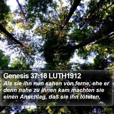 Genesis 37:18 LUTH1912 Bible Verse Image