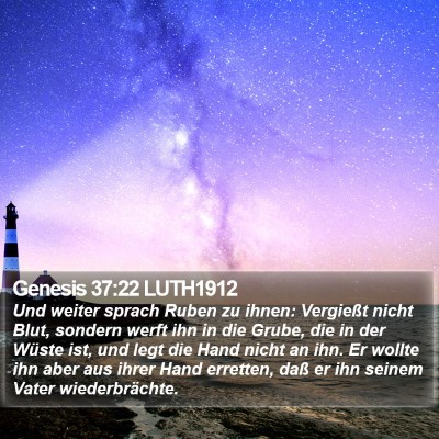 Genesis 37:22 LUTH1912 Bible Verse Image