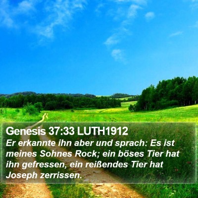 Genesis 37:33 LUTH1912 Bible Verse Image