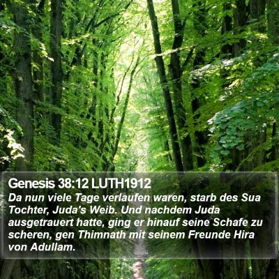 Genesis 38:12 LUTH1912 Bible Verse Image