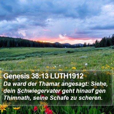 Genesis 38:13 LUTH1912 Bible Verse Image