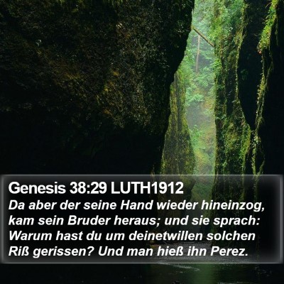 Genesis 38:29 LUTH1912 Bible Verse Image