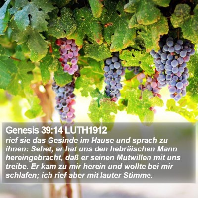 Genesis 39:14 LUTH1912 Bible Verse Image