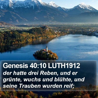Genesis 40:10 LUTH1912 Bible Verse Image