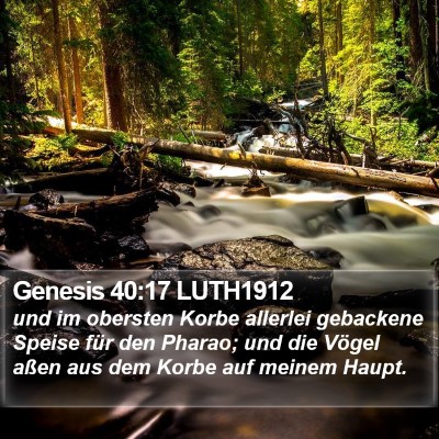 Genesis 40:17 LUTH1912 Bible Verse Image