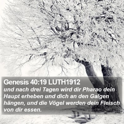 Genesis 40:19 LUTH1912 Bible Verse Image