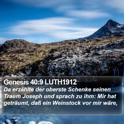 Genesis 40:9 LUTH1912 Bible Verse Image