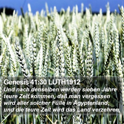 Genesis 41:30 LUTH1912 Bible Verse Image