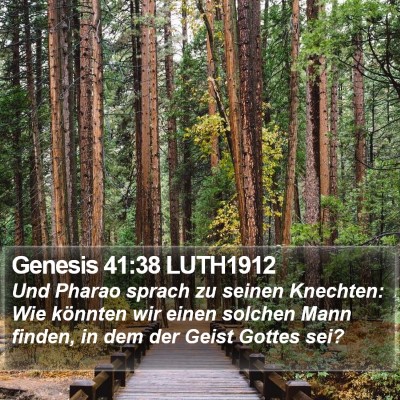 Genesis 41:38 LUTH1912 Bible Verse Image