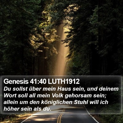 Genesis 41:40 LUTH1912 Bible Verse Image