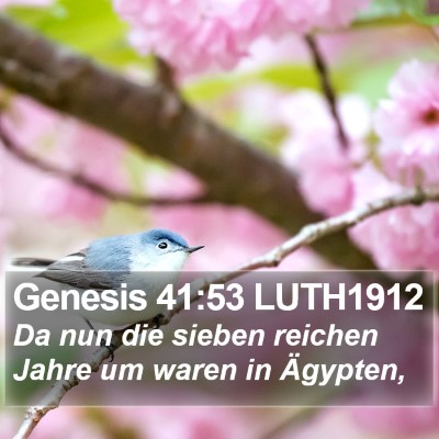 Genesis 41:53 LUTH1912 Bible Verse Image