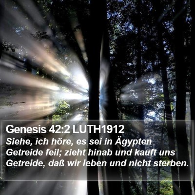 Genesis 42:2 LUTH1912 Bible Verse Image
