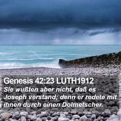 Genesis 42:23 LUTH1912 Bible Verse Image