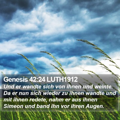 Genesis 42:24 LUTH1912 Bible Verse Image