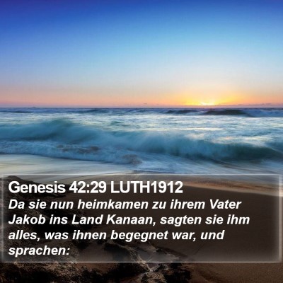 Genesis 42:29 LUTH1912 Bible Verse Image