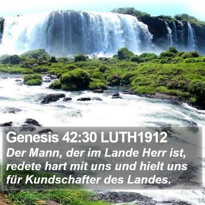 Genesis 42:30 LUTH1912 Bible Verse Image