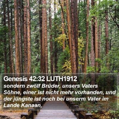 Genesis 42:32 LUTH1912 Bible Verse Image